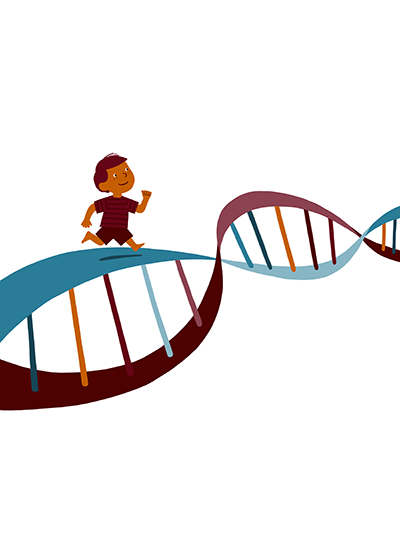 Illustration d'une chaîne chromosomique